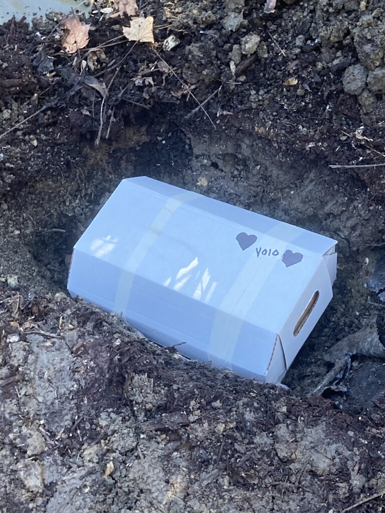 A white box with the remains of our beloved family pet